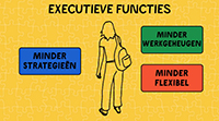 Executieve funkties